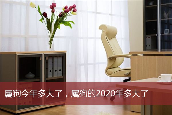 属狗几岁2021年