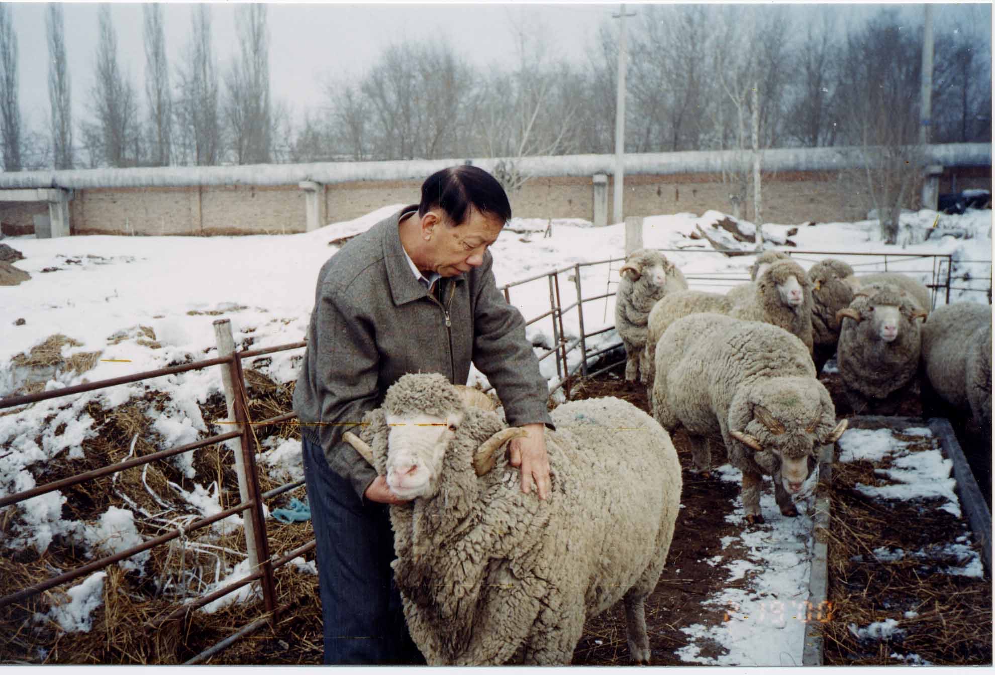79年属羊农历12月是什么星座