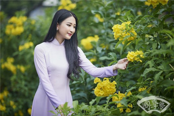 1966年属马2024年运势