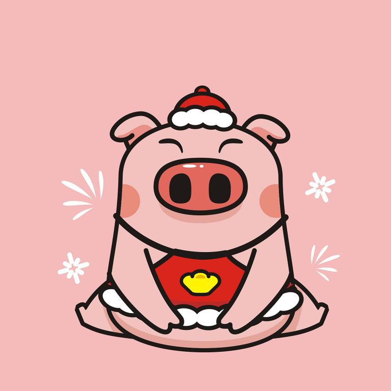 1971年属猪的是什么命