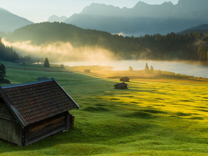 79年属羊的8月份的运势怎么样