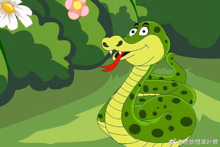 属蛇的29岁是什么命