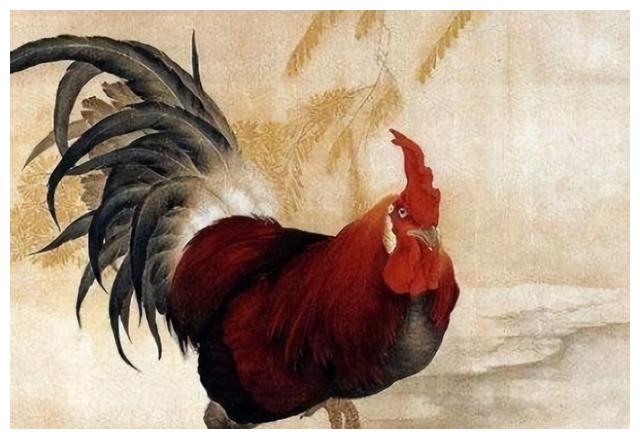 生肖羊女最怕出生农历几月