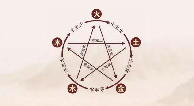 12生肖开饭店运势排行榜