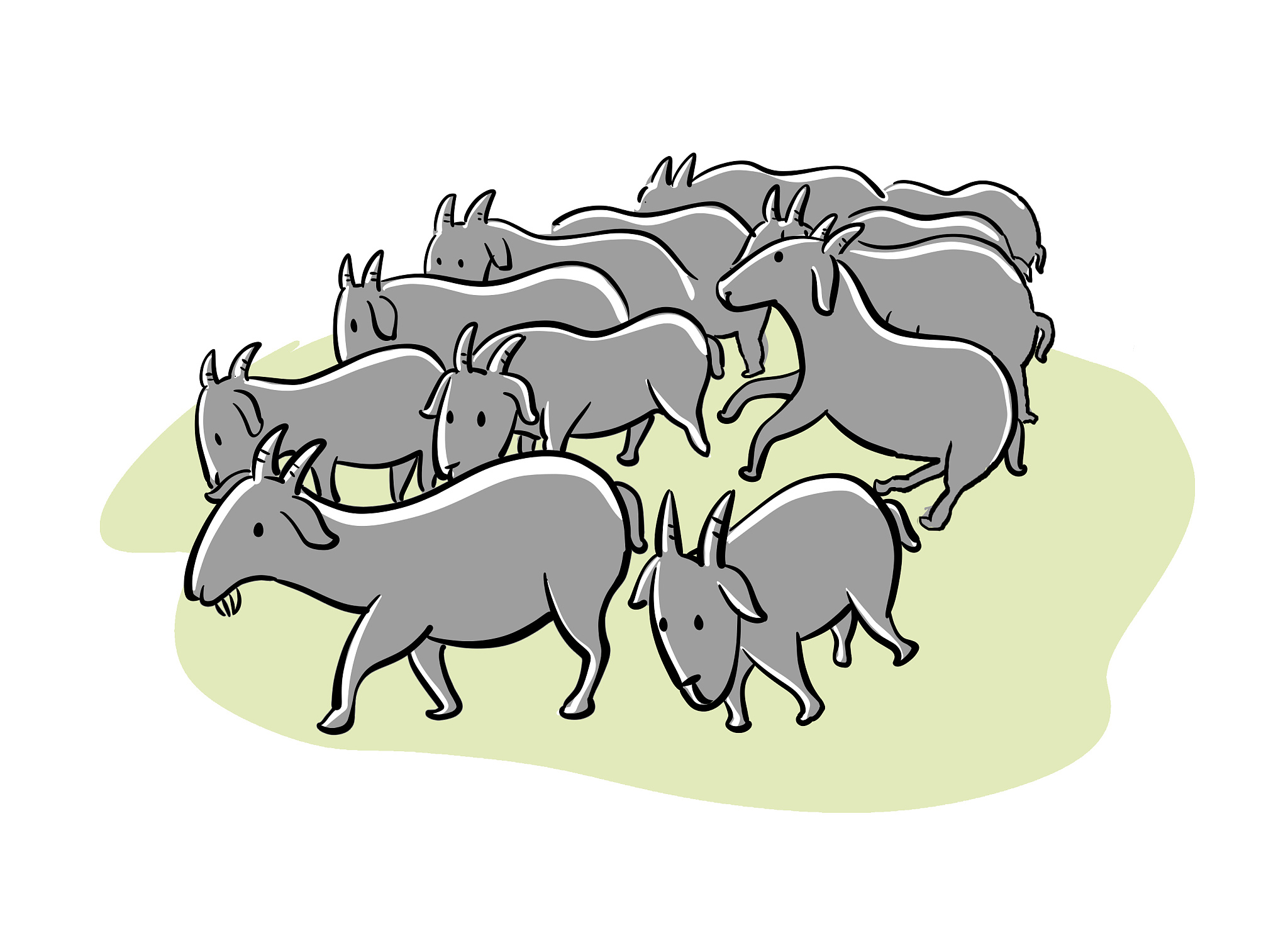 属羊的女孩出生在几月份好