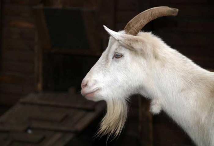 农历1987年8月19日出生的人是什么星座