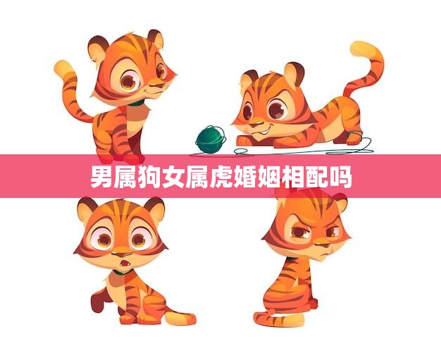 虎的星座匹配是什么