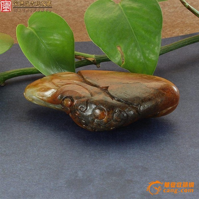 71属猪2024年运势及运程每月运程