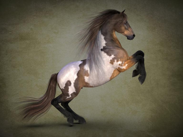 1990属马是什么命金木水火土