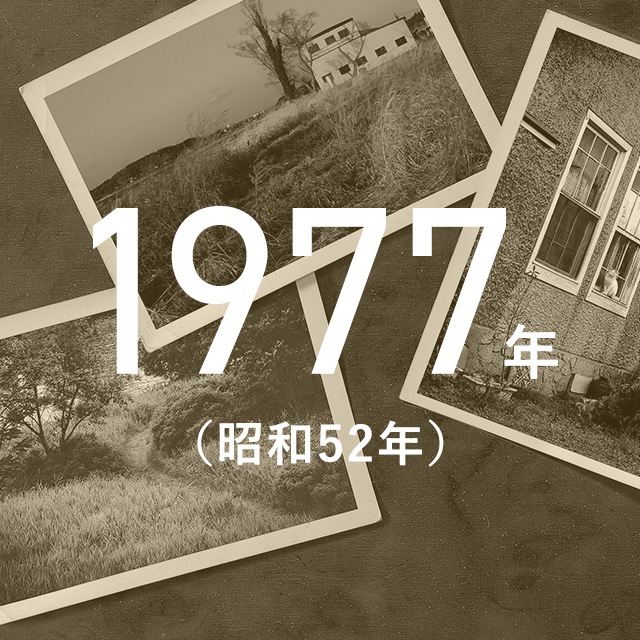 1977出生赶上延迟退休了吗