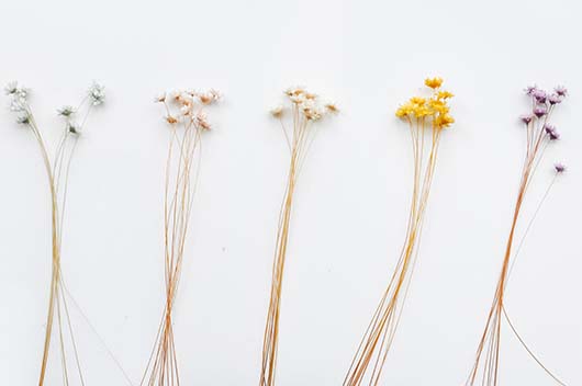 2010年属虎的阴历几月出生好