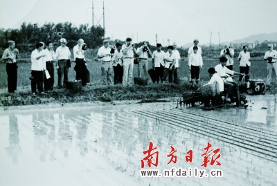 1991年农历什么年