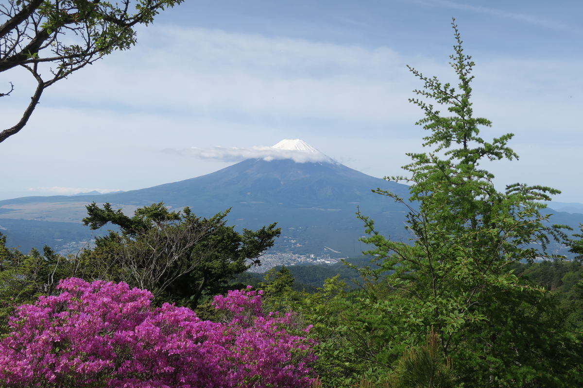 2024年山东省考公务员岗位招录表