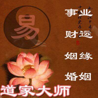 2024生肖虎全年运势