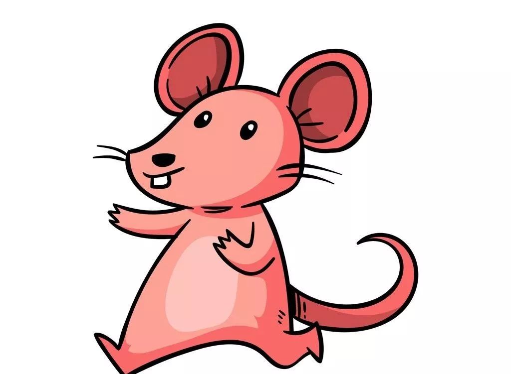 84年属鼠的人2024年的运势及运程