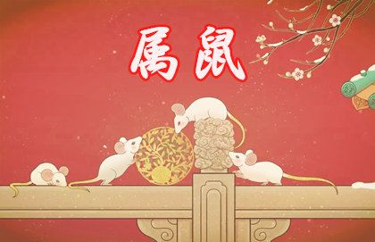 属鼠人2024年全年运势运程
