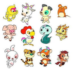 属兔的最佳合作伙伴