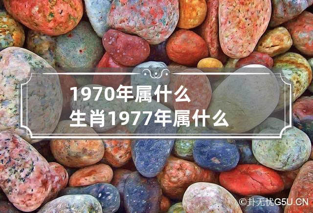 1977年属什么生肖