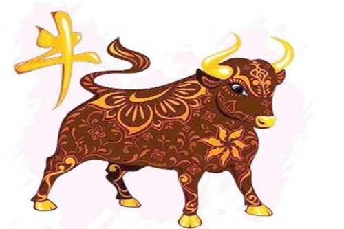 2021属牛住几楼好