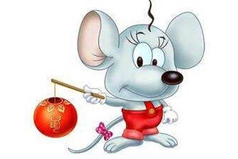 1995年属猪的最佳配偶