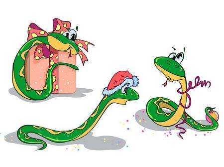 2017属蛇多大年龄