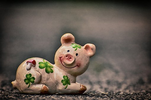 95年属猪的是什么命