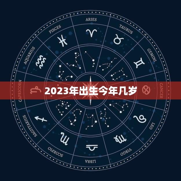 2023年生育率
