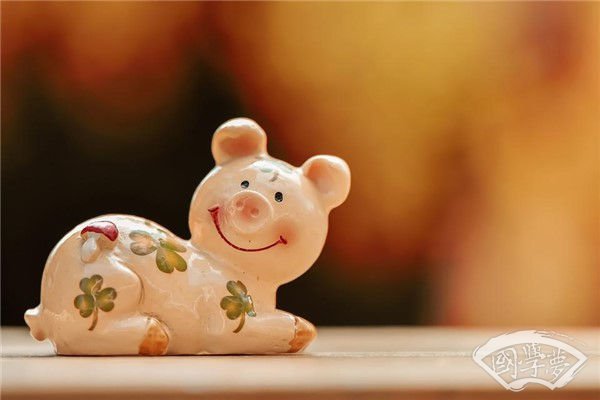 95年属猪什么命