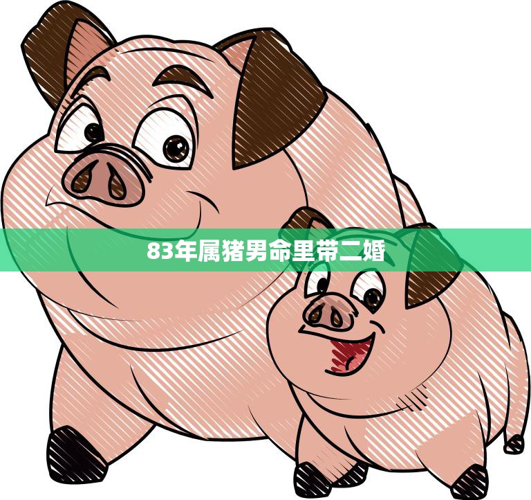 属猪男对老婆大方吗