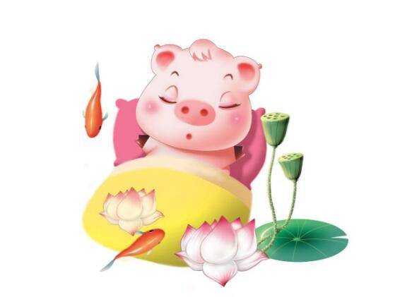 1995年属什么生肖多大年龄