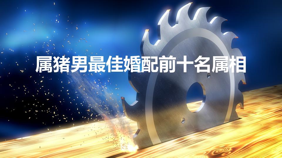 属猪男的性格和脾气及爱情