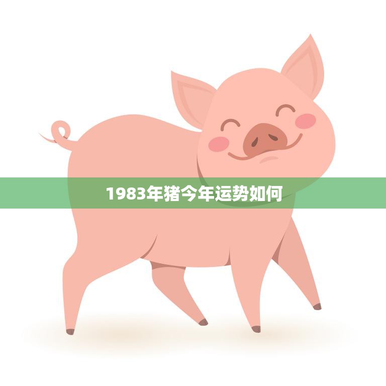 1983年猪过了40岁后什么命2024