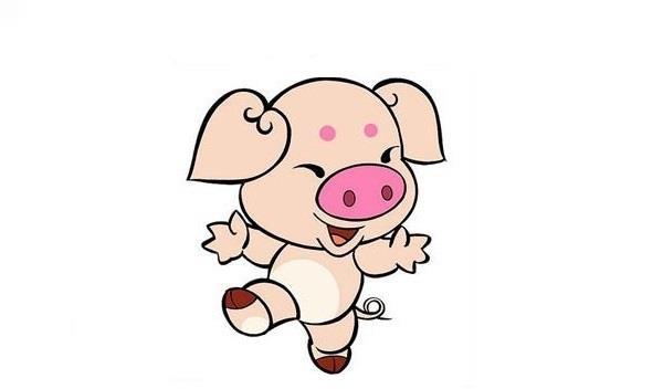 1995年属猪是什么命