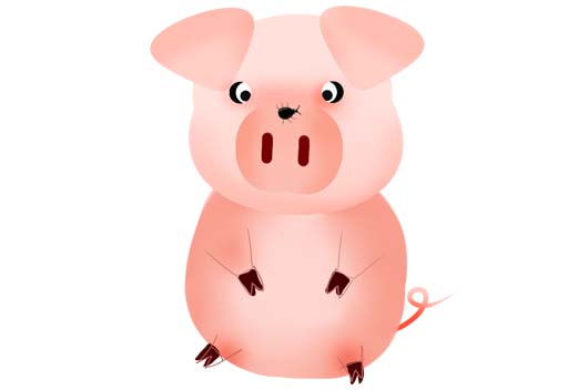 属猪人的性格和脾气