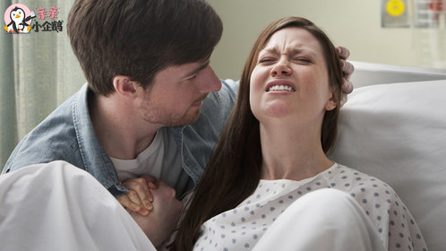 是属于什么生肖