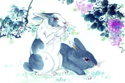 75年属兔今年运势