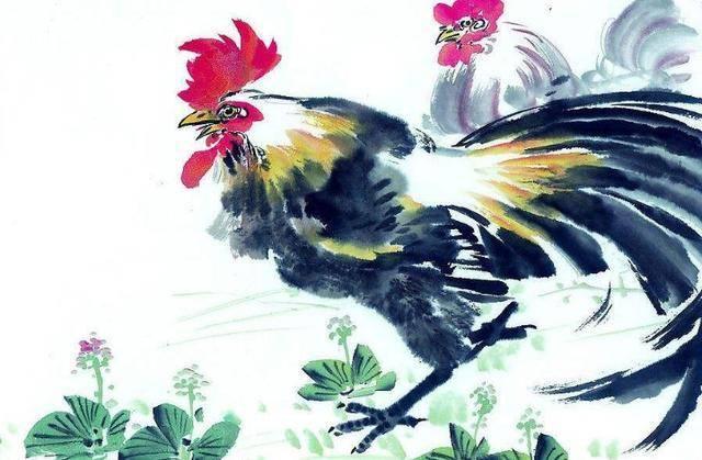 1957年属鸡者寿命及晚年生活揭秘