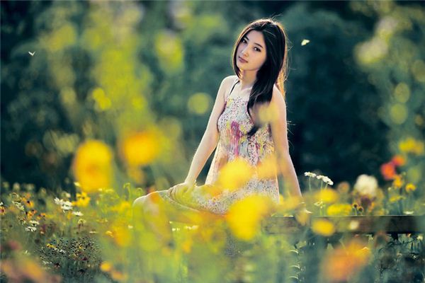 1987年属兔2027年的运势及运程