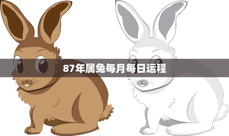 87年属兔2024年运势和财运怎么样