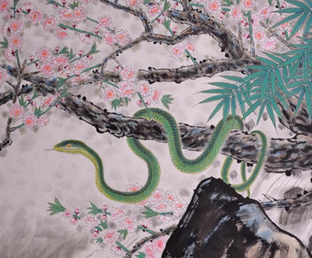 1977年属什么生肖今年多大了