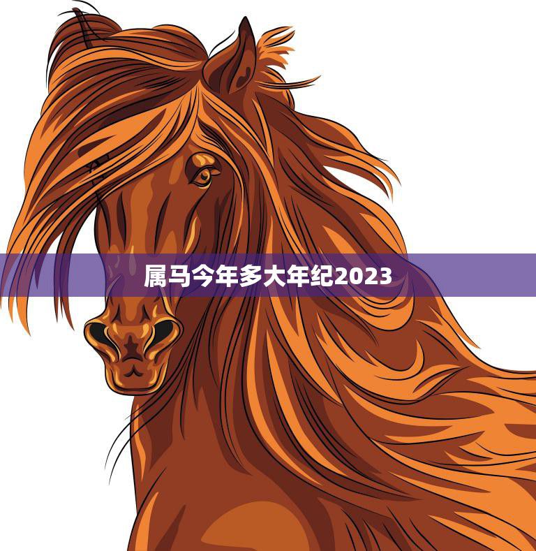 属马者在2024年的年龄及运势运程