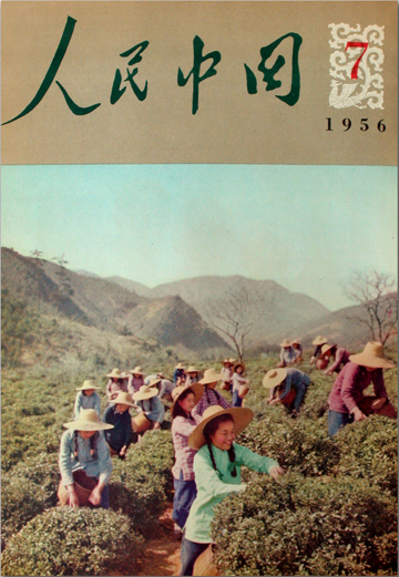 1975年6月11日出生的兔子的星座