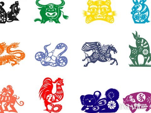 与各属相的婚姻相配