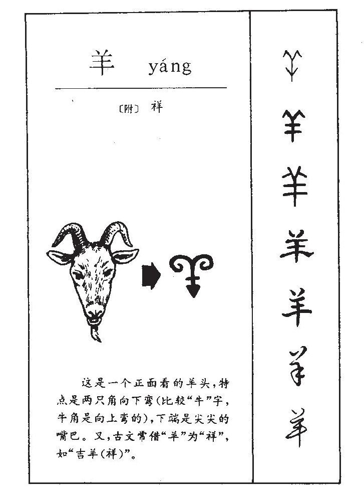 根据您的出生年份确定五行的属性
