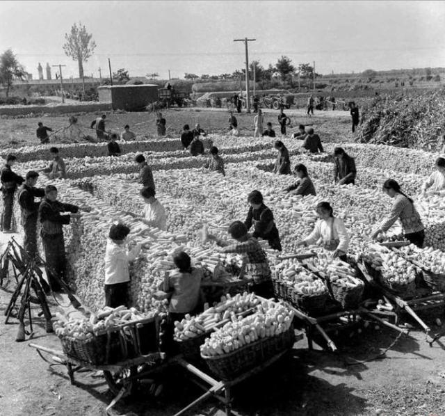 1978年农历阳历对照表