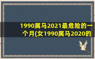 属马人2025年运势
