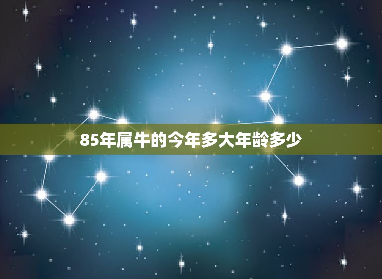 1986年属虎财运最佳方位解析