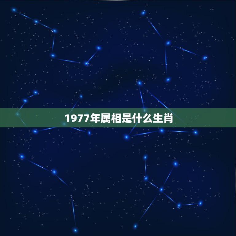 1978年属马男人2024年全面运势预测及运程详解