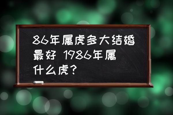 兔年运程剖析与全面指引