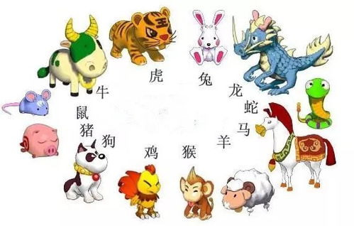 十二生肖中的鼠属相今年的年龄